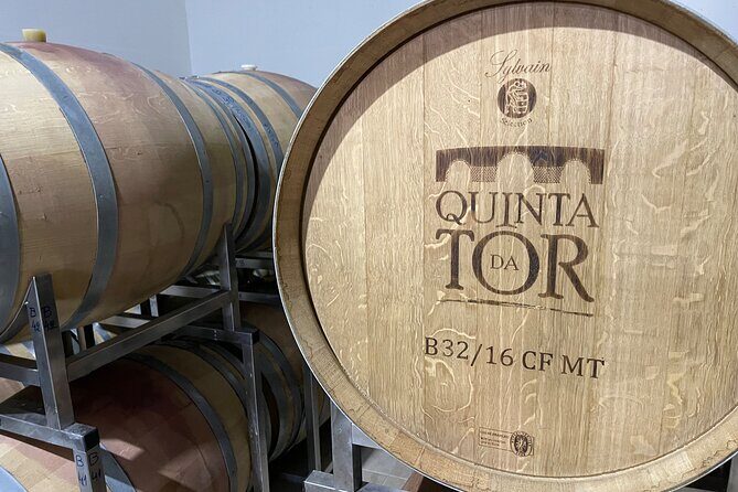 Ride & Wine: Scenic Quinta Da Tor Winery Electric Motorbike Tour - Who Will Love This Tour?