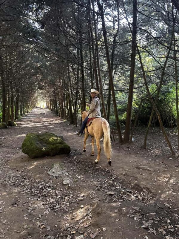 Ride with Mexican Charros: A Cowboy Adventure in Mexico City - Why This Tour Offers Great Value