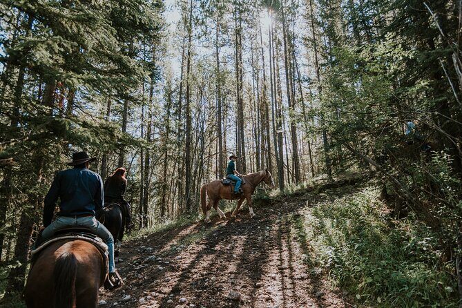 Ridge Ride 2-Hour Horseback Trail Ride in Kananaskis - Why Choose This Ride?