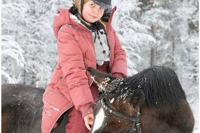 Riding Tour with Finnhorses at Santa Claus Village - Key Points