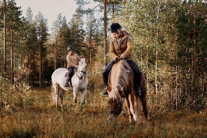 Riding Tour with Finnhorses at Santa Claus Village - Additional Details: Booking, Cancellation, and Accessibility