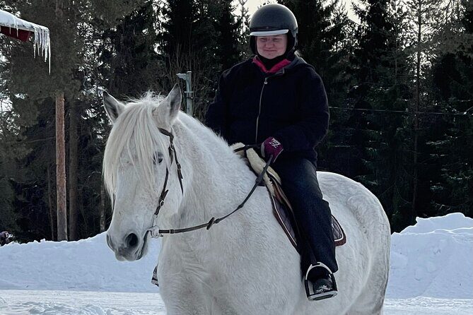 Riding Tour with Finnhorses at Santa Claus Village - Final Thoughts: Is This Tour Right for You?