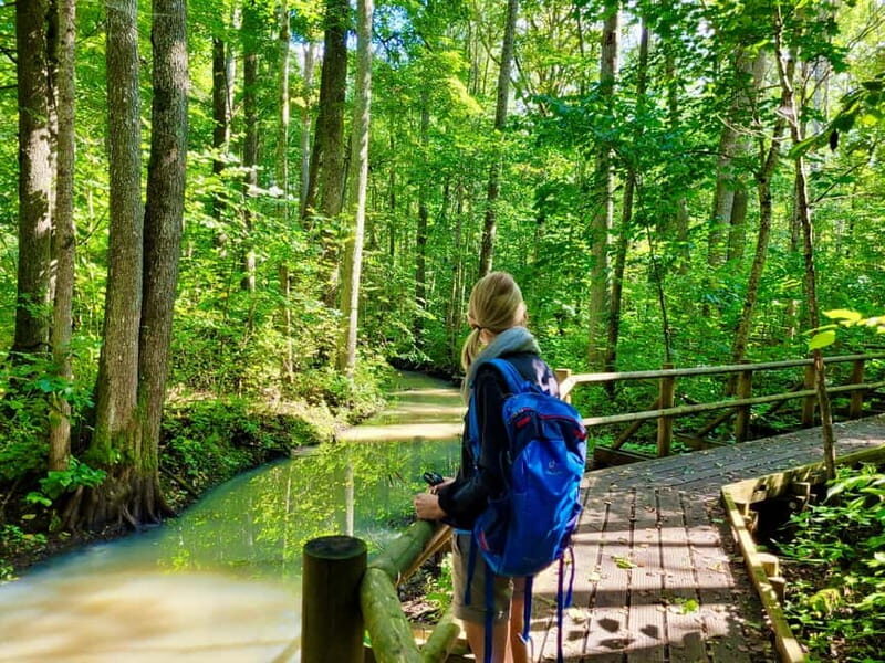 Riga: Best of Kemeri National Park In One Day - Riga: Best of Kemeri National Park In One Day