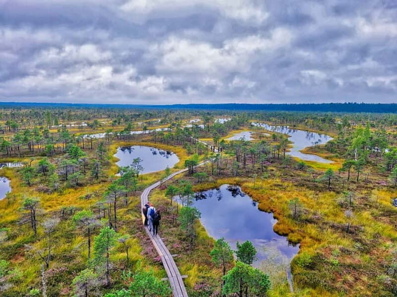 Riga: Best of Kemeri National Park In One Day - The Experience Compared to the Price