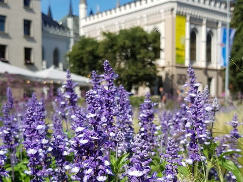 Riga: Private City Tour by car (incl. Old Town) - FAQ