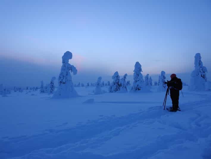 Riisitunturi National Park Snowshoe Adventure - Exploring Riisitunturi National Park: What to Expect