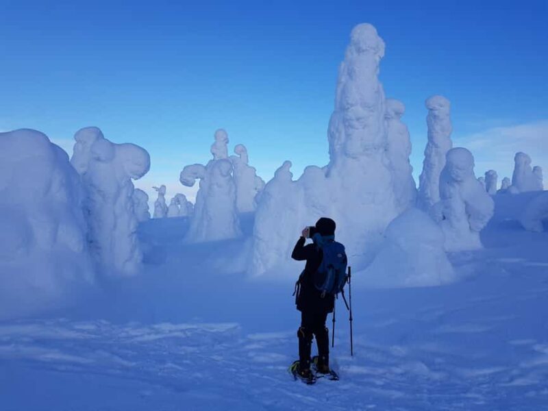 Riisitunturi National Park Snowshoe Adventure - Authentic Insights from Reviews