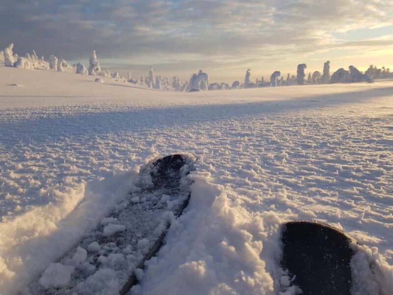 Riisitunturi National Park Snowshoe Adventure - Who Would Love This Experience?