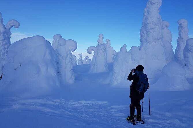Riisitunturi National Park Snowshoe Experience - A Deep Dive into the Riisitunturi Snowshoe Experience