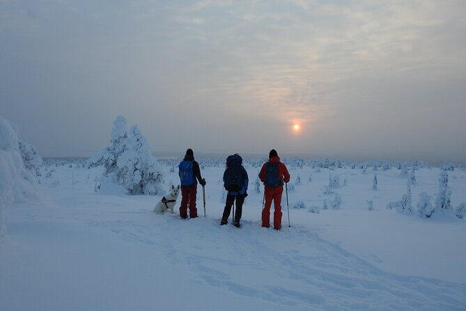 Riisitunturi National Park Snowshoe Experience - Final Thoughts: Is This the Right Arctic Adventure for You?