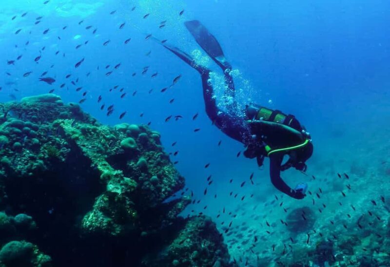 Rijeka Croatia: Discover with us the wonderful sea of Croatia! - What to Expect from Your Snorkeling Experience