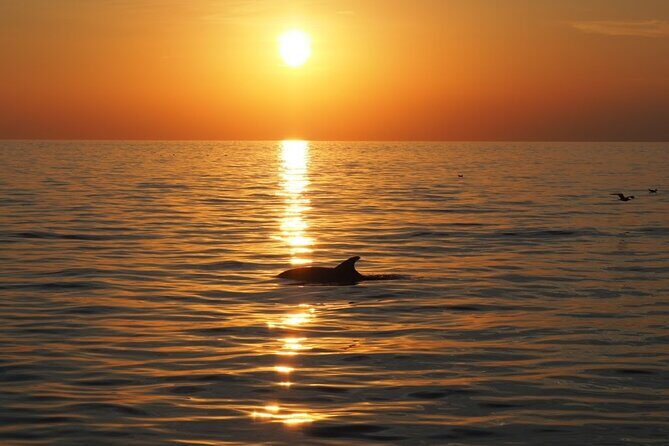 Rijeka to Brsec Guided Sea Kayak Tour - The Sum Up