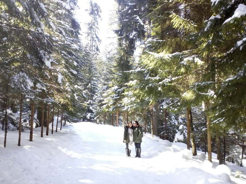 Rila Mountain Winter Day Trip - Key Points