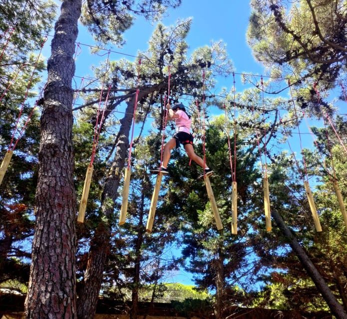 Rimini: Adventure Park Entry Ticket - The Setting and Location