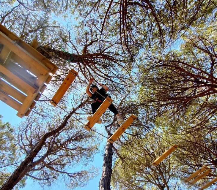 Rimini: Adventure Park Entry Ticket - What Makes the Routes Special?