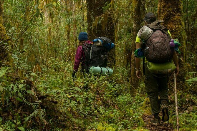 Rincón de la Vieja Volcano Hike & Crystal-Blue Swimming Adventure - Final Thoughts: Who Will Love This Tour?