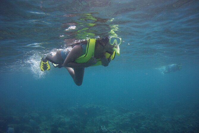 Rincon Snorkeling Adventure - What’s Included and What’s Not