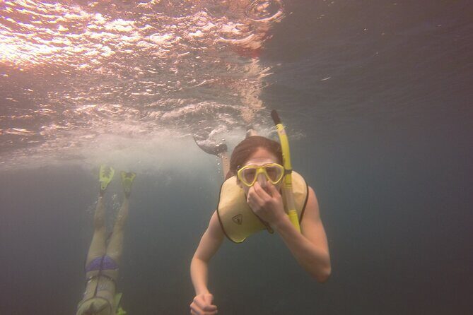 Rincon Snorkeling Adventure - The Sum Up: Why This Tour Completes Your Rincon Visit