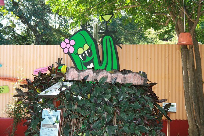 Rincon Visit with Local Guide - A Deep Dive into the Rincon Tour Experience