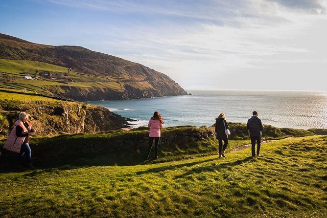 Ring of Kerry Day Tour from Cork: Including Killarney National Park - Analyzing the Value