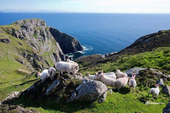 Ring of Kerry & Skellig Ring Private Day Tour - Experience the Best of County Kerry with a Private Day Tour
