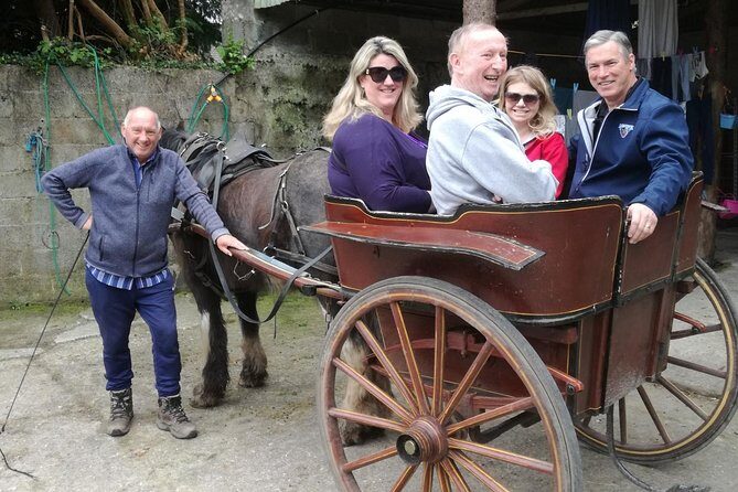 Ring of Kerry Tour Private Chauffeur Driven From Killarney Luxury - Why Choose a Private Chauffeur Tour?