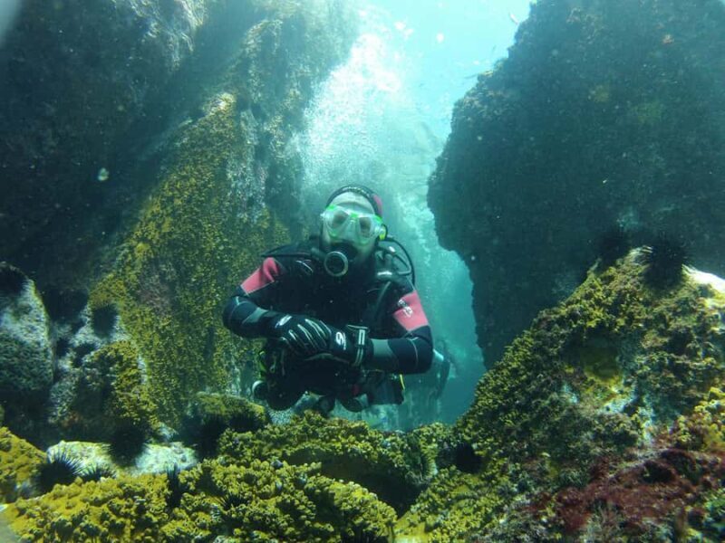 Rio: Best Dive Experience All Inclusive Scuba Diving Package - Key Points