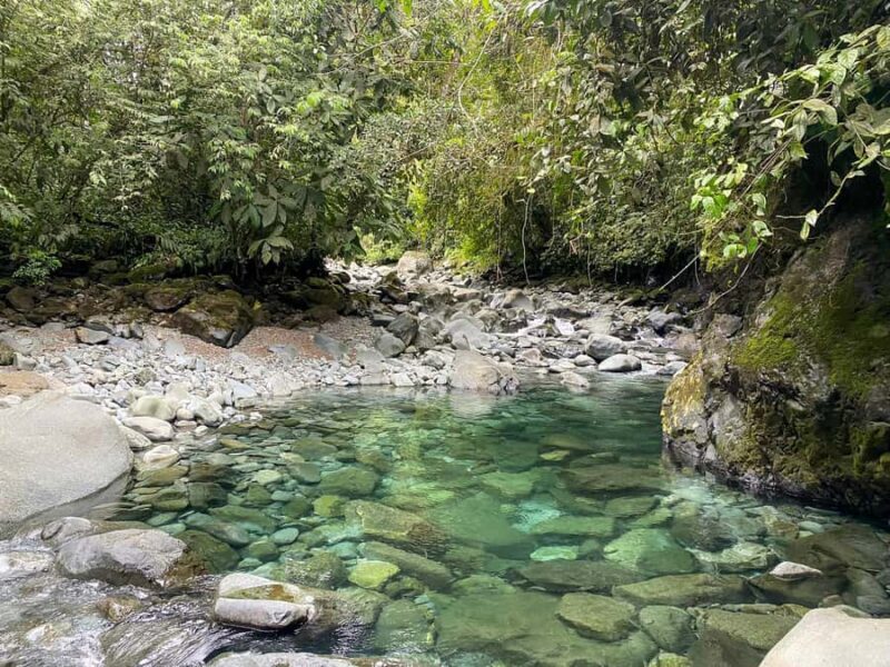 Rio Bravo Canyon: Hike & Waterfalls Adventure from Cali - An In-Depth Look at the Río Bravo Canyon Tour