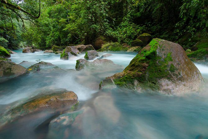 Rio Celeste and Tenorio Volcano Hike with Lunch - Who Will Enjoy This Tour?