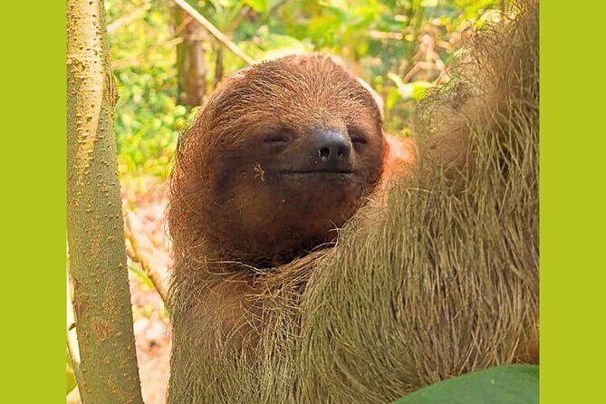 Rio Celeste Expedition Sloths, Waterfalls & Nature's Magic - Final Thoughts