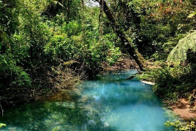 Rio Celeste Full-Day Hike: Blue Waterfall & Tenorio Volcano - Who Would Love This Tour?