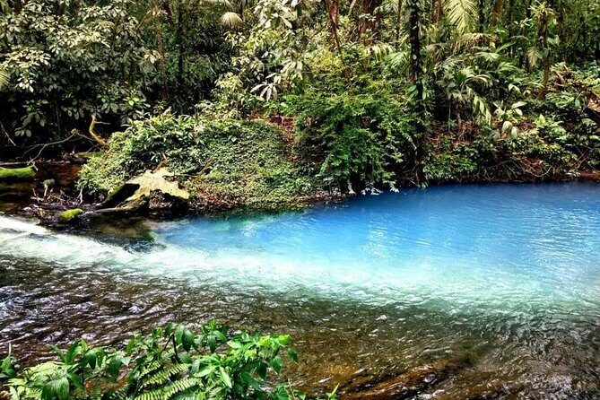 Rio Celeste Full-Day Hike: Blue Waterfall & Tenorio Volcano - The Sum Up