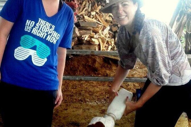 Rio Celeste Funny Milking & Farming Experience - Discovering Costa Rican Farming with Blue Adventures