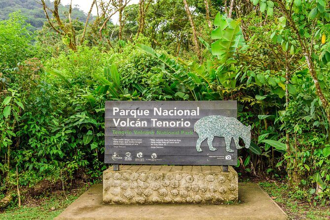 Rio Celeste Hiking, Sloth Sanctuary & Llanos de Cortes Waterfall Tour - The Day in Detail: From Stunning Waterfalls to Wildlife Encounters