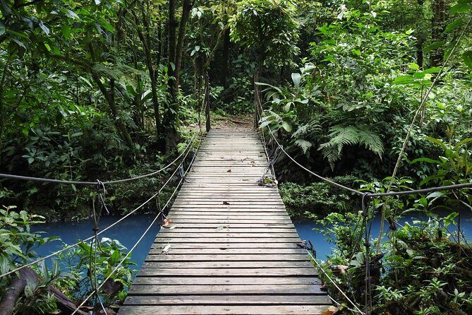 Rio Celeste Nature Hike - Key Points