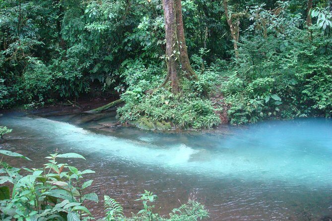 Río Celeste Nature Hike and Swimming experience at the blue river - Who Will Love This Tour?
