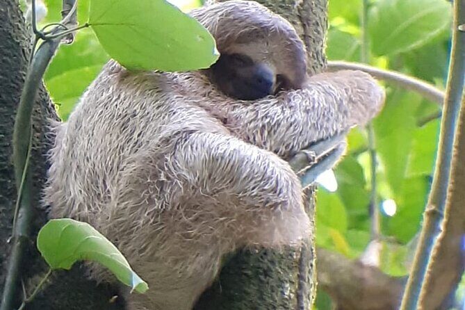 Rio Celeste Waterfall And Indigenous Territory Private Guide - Who Will Love This Tour?