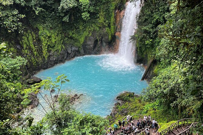 Rio Celeste Waterfall and Sloth Sanctuary Experience - An In-Depth Look at the Rio Celeste Waterfall and Sloth Sanctuary Experience
