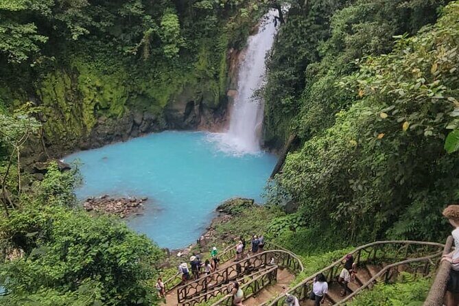 "Rio Celeste Waterfall, Peace Tree Encounter & Sloth Adventure" - Key Points