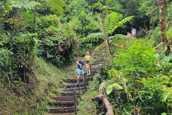 "Rio Celeste Waterfall, Peace Tree Encounter & Sloth Adventure" - A Deeper Look at the Tour Experience