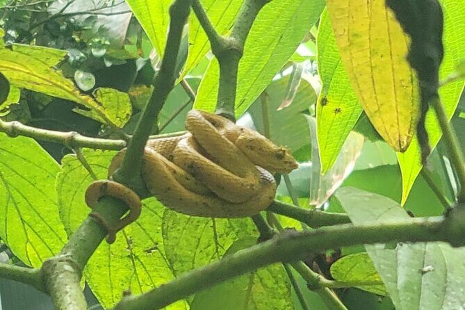 "Rio Celeste Waterfall, Peace Tree Encounter & Sloth Adventure" - Final Thoughts