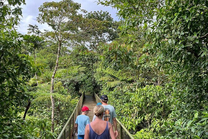 Rio Celeste Waterfall Plus Sloths and wildlife Sanctuary - Who Should Consider This Tour?