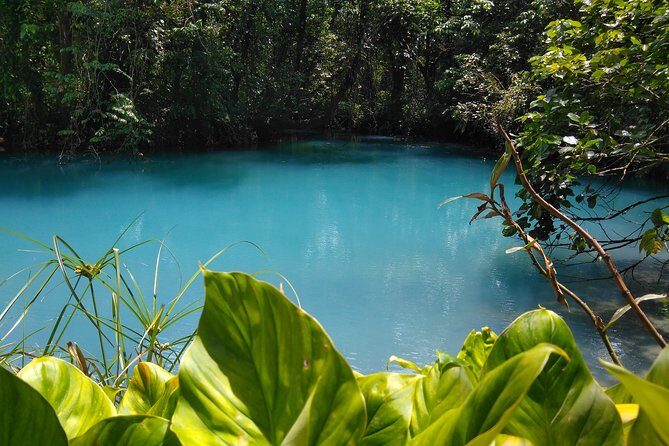 Rio Celeste Waterfall & Sloth Encounter Tour - Exploring the Rio Celeste & Sloth Encounter Tour