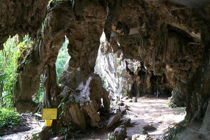 Rio Claro Jungle River Private Tour from Medellín - A Detailed Look at the Rio Claro Jungle River Private Tour