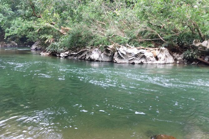 Rio Claro Jungle River Private Tour from Medellín - Summing It Up