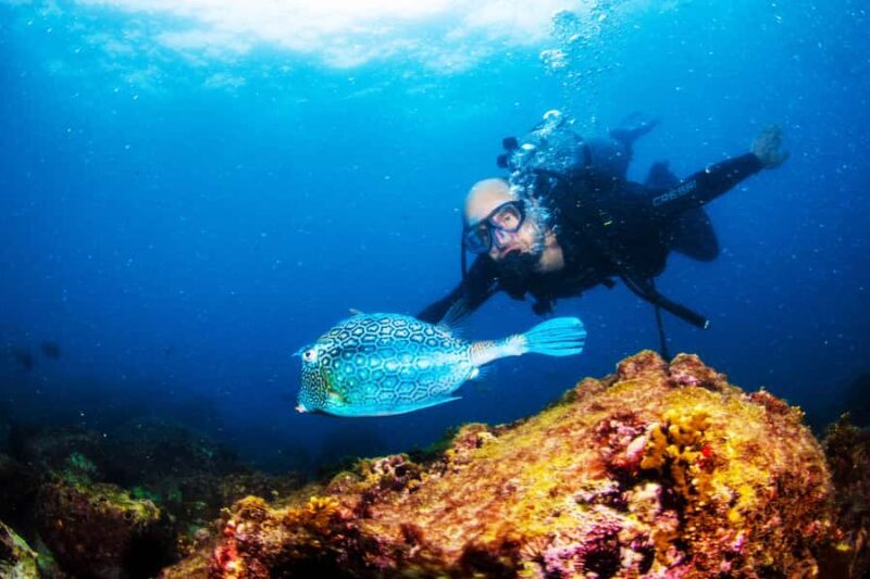 Rio de Janeiro: Arraial do Cabo Scuba Diving Day Trip - Who This Tour Is Best For