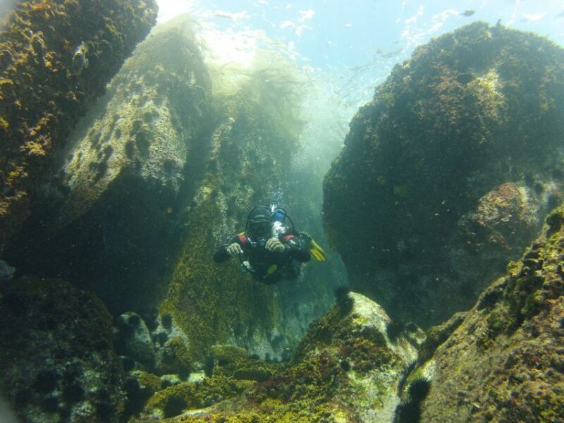 Rio de Janeiro: Arraial do Cabo Scuba Diving Day Trip - The Sum Up