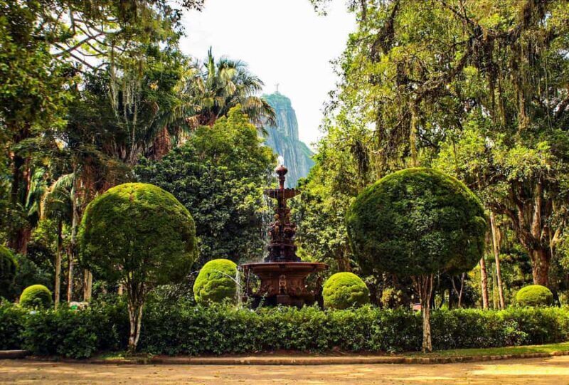 Rio de Janeiro: Botanical Garden Guided Visit - The Sum Up: Is the Rio Botanical Garden Guided Tour Worth It?