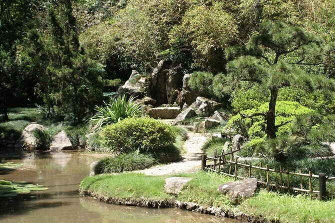 Rio de Janeiro Botanical Garden Tour - Discover Rio’s Botanical Gem: A Guided Tour of the Rio de Janeiro Botanical Garden