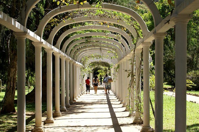 Rio de Janeiro Botanical Garden Tour - Key Points